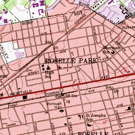 Topographic Map of Roselle, NJ
