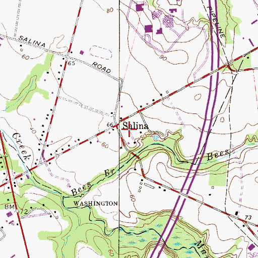 Topographic Map of Salina, NJ