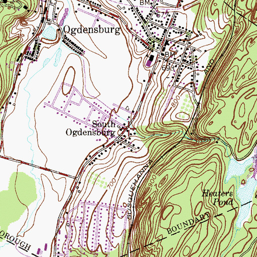 Topographic Map of South Ogdensburg, NJ