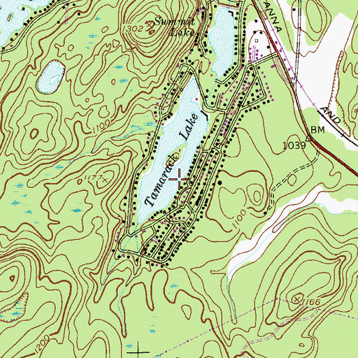 Topographic Map of Tamarack Lake, NJ