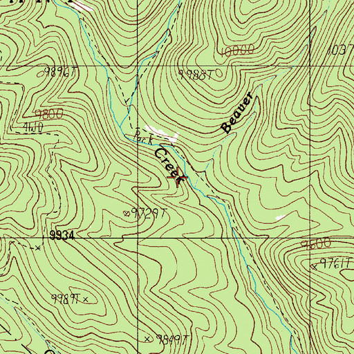 Topographic Map of Beaver Creek, NM