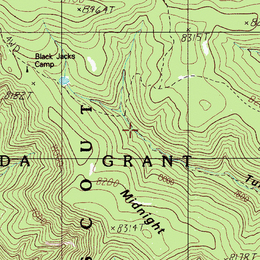 Topographic Map of Black Jacks Hideout, NM