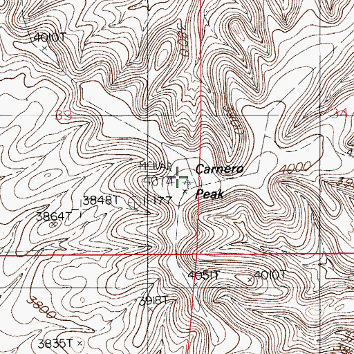 Topographic Map of Carnero Peak, NM
