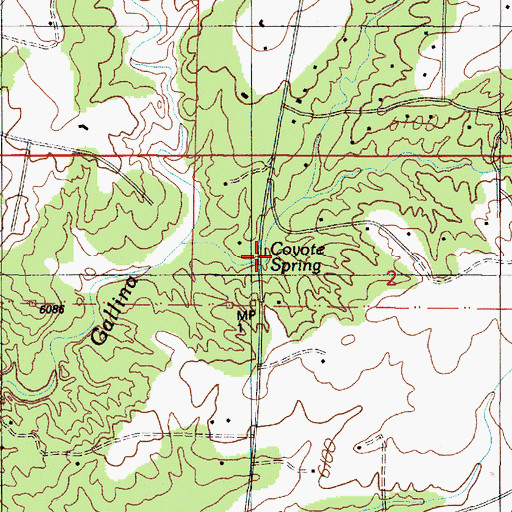 Topographic Map of Coyote Spring, NM