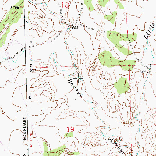 Topographic Map of Craig Arroyo, NM