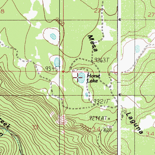 Topographic Map of Horse Lake, NM