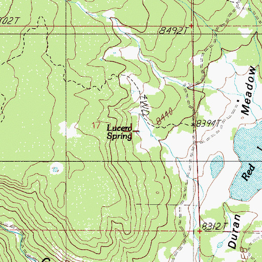 Topographic Map of Lucero Spring, NM