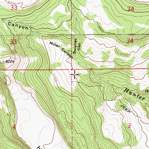 Topographic Map of Miller Canyon, NM