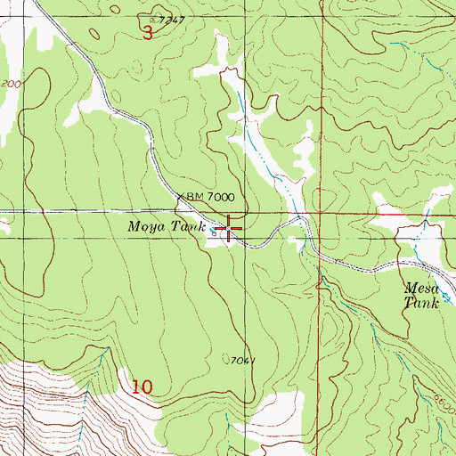 Topographic Map of Moya Spring, NM