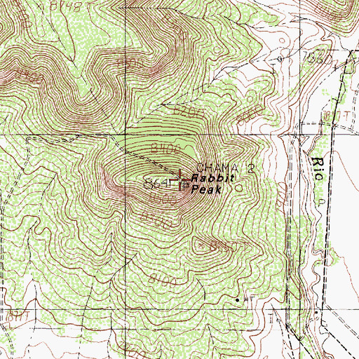 Topographic Map of Rabbit Peak, NM