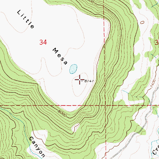 Topographic Map of Little Mesa, NM