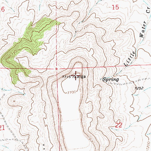 Topographic Map of Mesa Larga, NM
