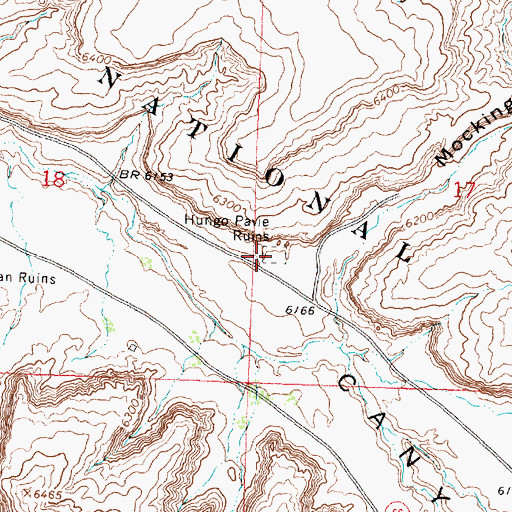 Topographic Map of Hungo Pavie (historical), NM