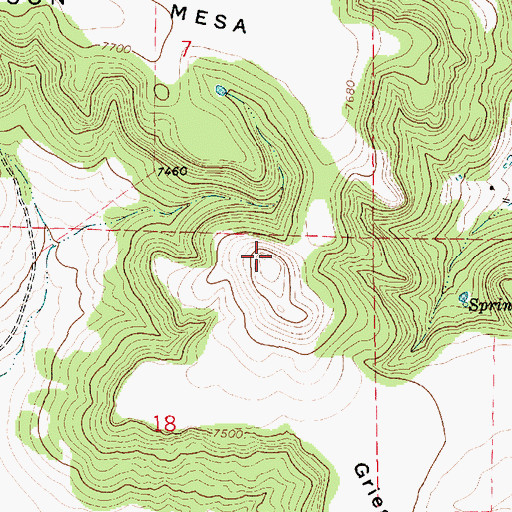 Topographic Map of Griego Mesa, NM