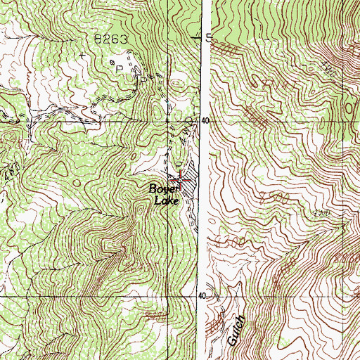 Topographic Map of Boyer Lake, NM