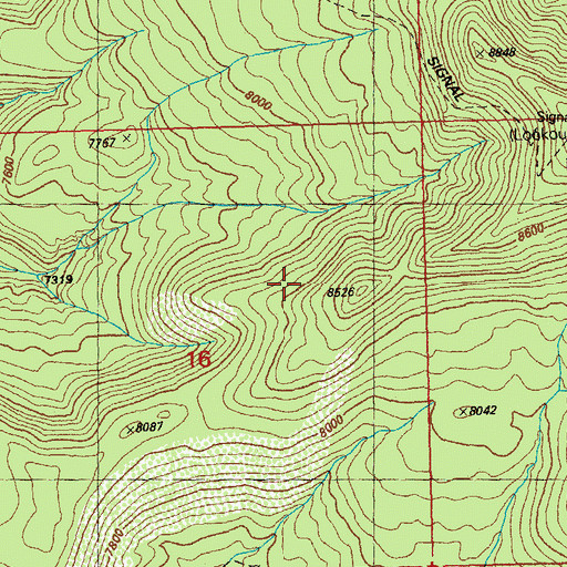 Topographic Map of Signal Peak Trail, NM