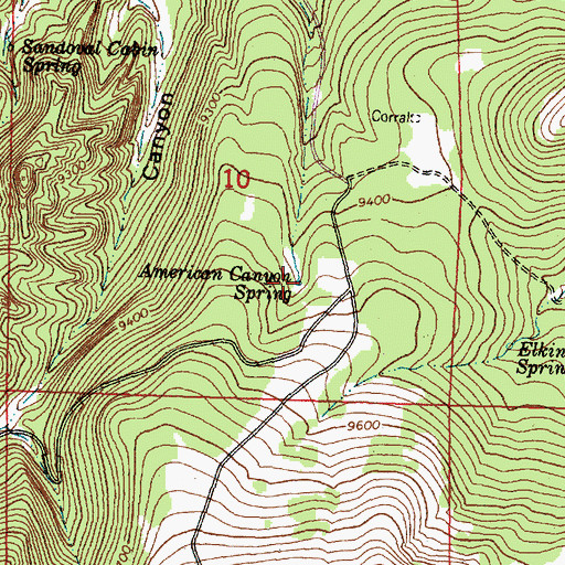 Topographic Map of Upper American Canyon Spring, NM