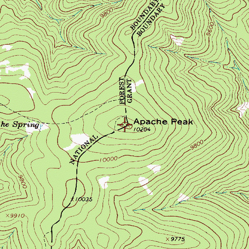 Topographic Map of Apache Peak, NM