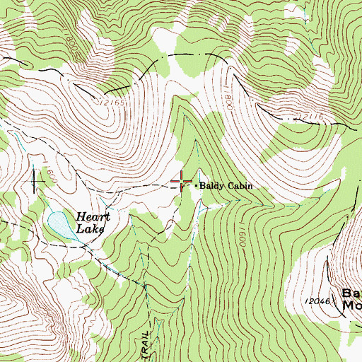 Topographic Map of Baldy Cabin, NM