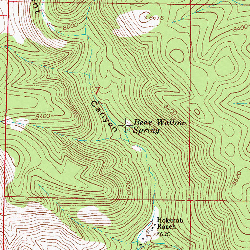 Topographic Map of Bear Wallow Spring, NM