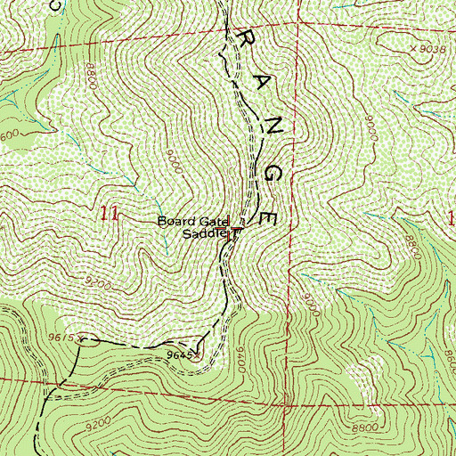 Topographic Map of Board Gate Saddle, NM
