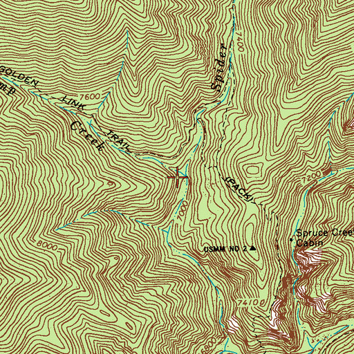 Topographic Map of Camp Creek, NM