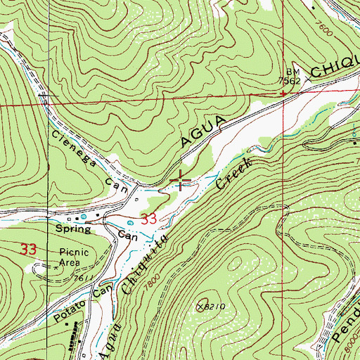 Topographic Map of Cienega Canyon, NM