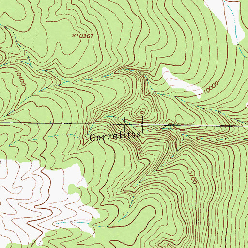 Topographic Map of Corralitos Creek, NM
