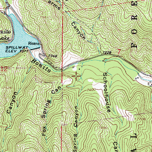 Topographic Map of Fox Spring Canyon, NM