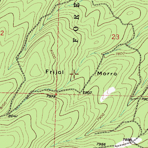 Topographic Map of Frijol Morro, NM