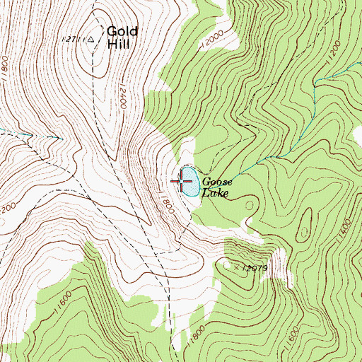 Topographic Map of Goose Lake, NM