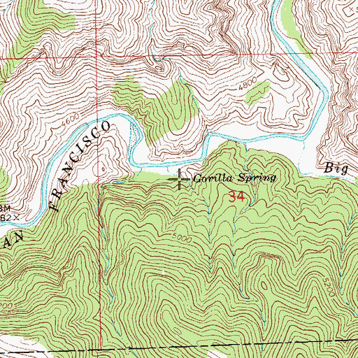 Topographic Map of Gorilla Spring, NM