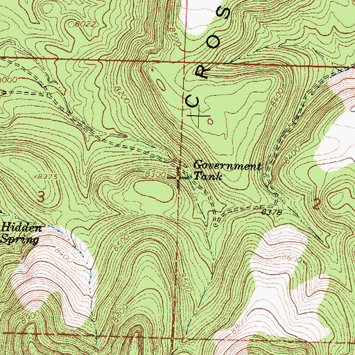 Topographic Map of Government Tank, NM