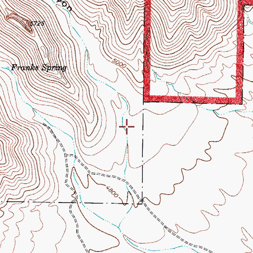 Topographic Map of Gunsight Canyon, NM