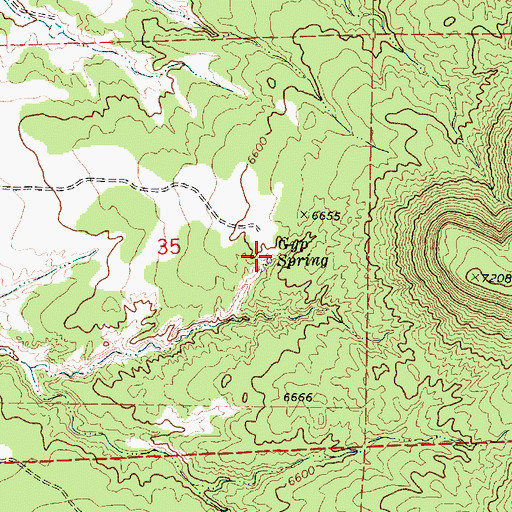 Topographic Map of Gyp Spring, NM