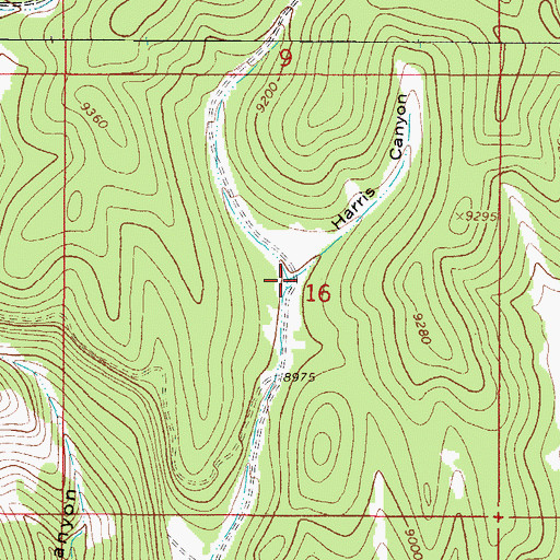 Topographic Map of Harris Canyon, NM