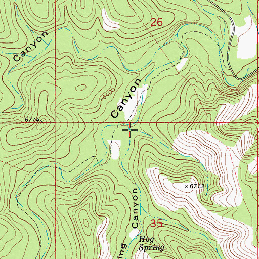 Topographic Map of Hog Spring Canyon, NM