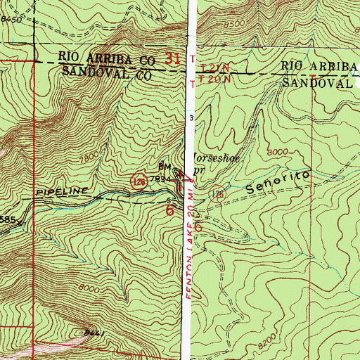Topographic Map of Horseshoe Spring, NM