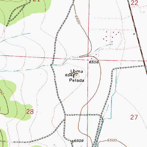 Topographic Map of Loma Pelada, NM