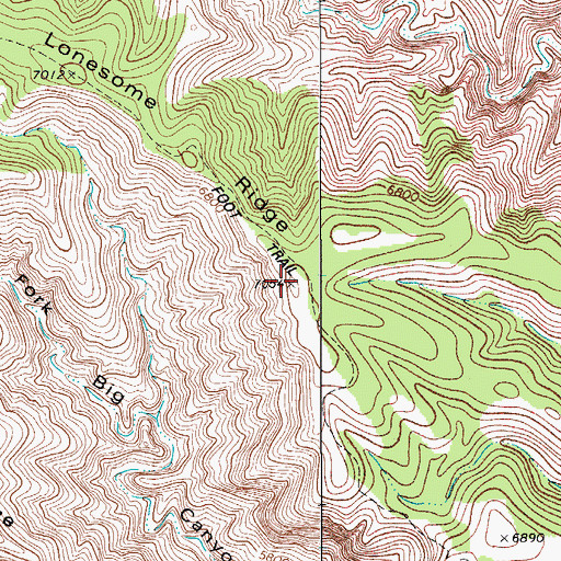 Topographic Map of Lonesome Ridge, NM