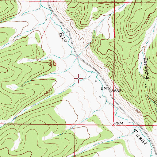 Topographic Map of Maquinita Canyon, NM