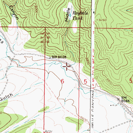 Topographic Map of Middle Canyon, NM