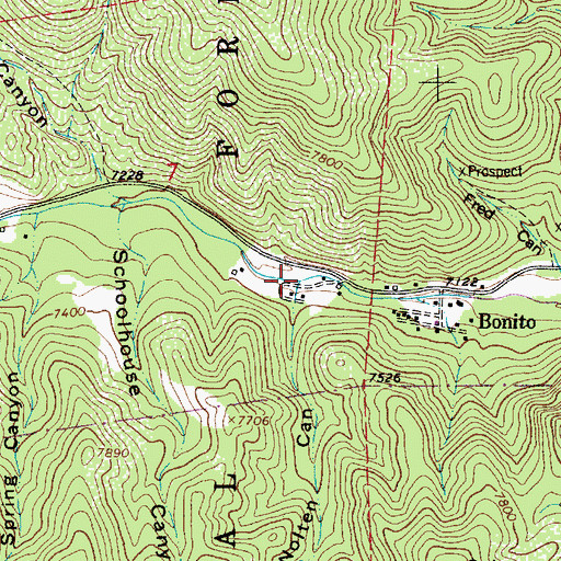 Topographic Map of Nolton Canyon, NM
