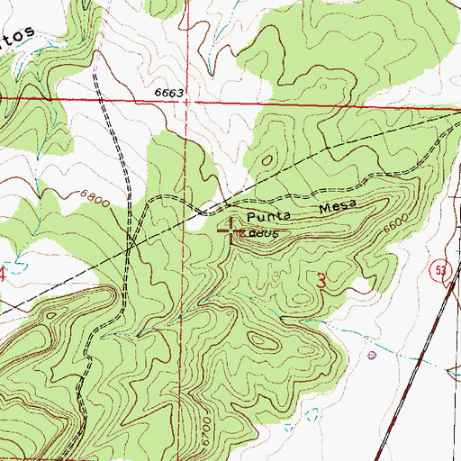 Topographic Map of Punta Mesa, NM