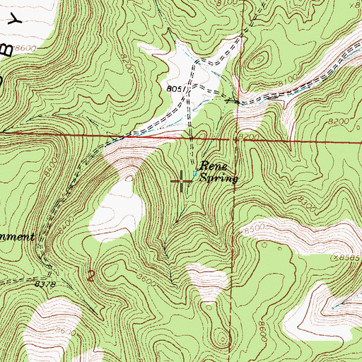 Topographic Map of Rene Spring, NM