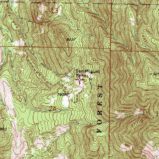 Topographic Map of San Miguel Mines, NM