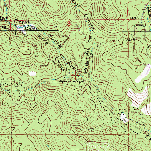 Topographic Map of South Fork Cedar Creek, NM