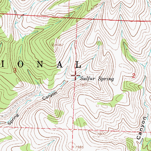 Topographic Map of Sulfur Spring, NM