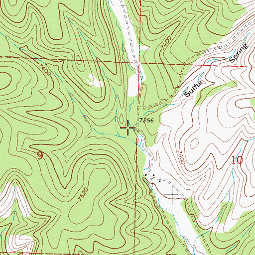 Topographic Map of Sulfur Spring Canyon, NM
