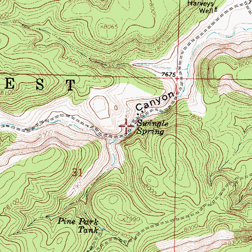 Topographic Map of Swingle Spring, NM